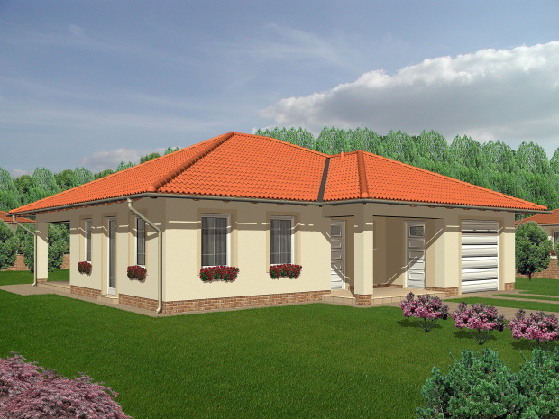 Array - perspektiva PL